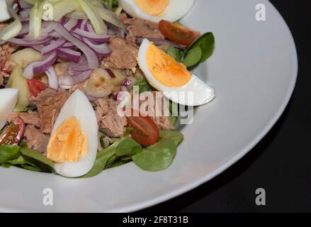 Insalata fresca con tonno e uova sode Foto Stock