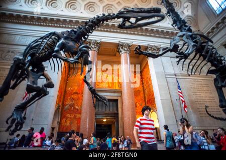 Tra i visitatori un Barosauro protegge i suoi giovani da un Attaccare Allosaurus nella sala d'ingresso del Museo Americano Di Storia Naturale a Manhat Foto Stock