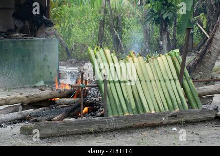 Una fila di lemang all'inizio del processo di cottura. Lemang e' un cibo malese tradizionale di base durante il festival eid. Sfondo sfocato Foto Stock