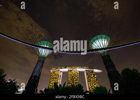 Singapore - 7 gennaio 2014: Questo è il Supertree Grove, una struttura ad albero ai Giardini della Baia. Sullo sfondo si trova la famosa Marina Bay Foto Stock