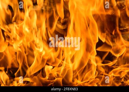 Sprurts di fiamma. Legna da ardere di legno e tronchi. La fiamma luminosa del fuoco. Materiali combustibili convertiti in carbone, fumo e cenere dal calore. Foto Stock