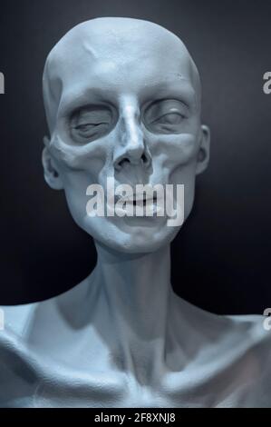 Film Set Prop al Making of Harry Potter Studio Tour. Warner Bros. Studios, Leavesden, Watford, Londra, Inghilterra Regno Unito Foto Stock