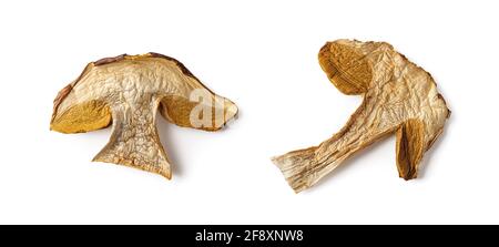 Due fette di porcini asciutti isolate su fondo bianco. Fungo di foresta commestibile con sapore di funghi intenso. Pezzi di Boletus edulis marrone essiccato. Foto Stock