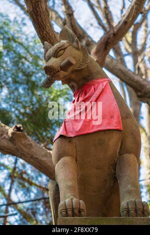 Fushimi Inari Taisha, statua di volpe di pietra nella religione giapponese Shinto santuario, Kyoto, Giappone. Fox Dio scultura. Foto Stock