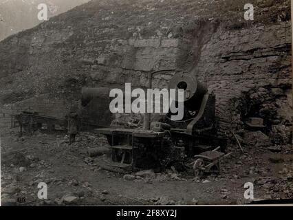 Monte Toraro. Malta italiana da 28 cm. . Foto Stock