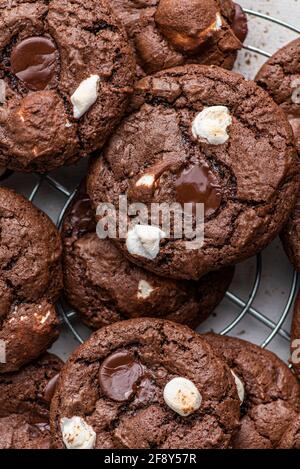 Biscotti al marshmallow al cioccolato Foto Stock