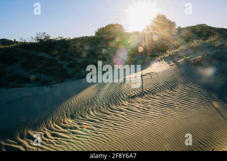 Spiaggia di sabbia, Fort Bragg, California, Stati Uniti Foto Stock