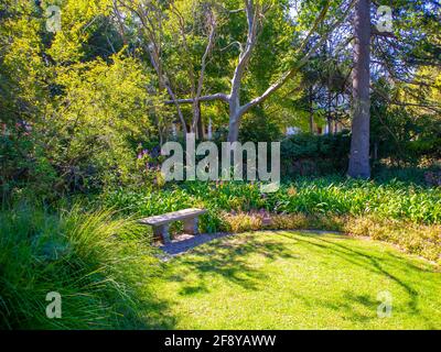 Stellenbosch University Botanical Garden, Città del Capo, Sud Africa 08-04-2021 Foto Stock