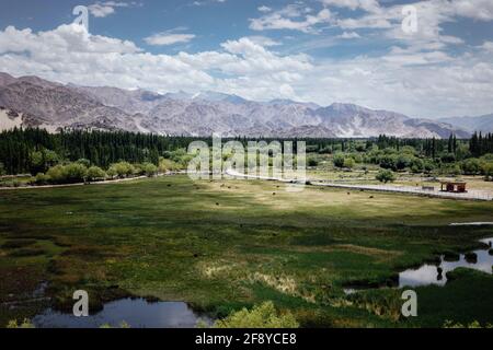 Vista da Shey Palace, Jammu e Kashmir, India Foto Stock