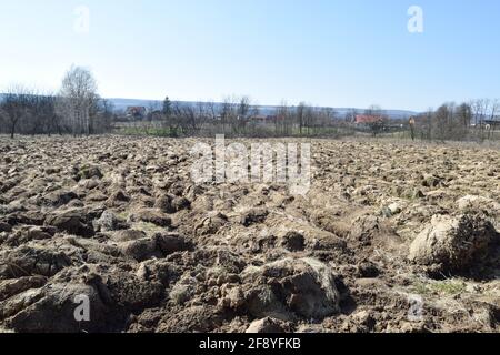 Sfondo agricolo di solchi arati pronti per nuove colture. Il processo di preparazione del suolo prima di piantare. Primo piano di terra asciutta nel campo con Foto Stock