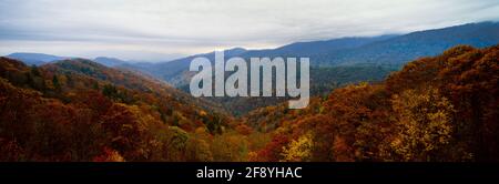 Paesaggio con montagne in autunno, Great Smoky Mountains, Tennessee, Stati Uniti Foto Stock