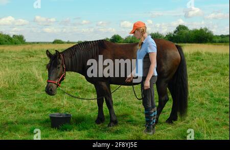 Lo sposo femmina caucasico e un cavallo della baia sono in piedi accanto ad un secchio d'acqua all'aperto, vista laterale. Foto Stock