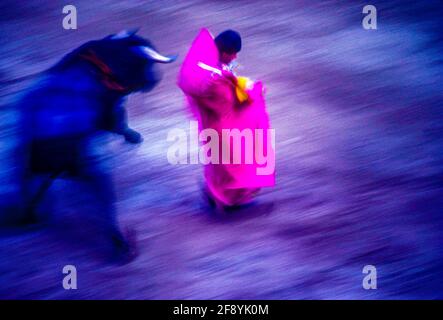 Bull Fight fotografia con movimento sfocato, Città del Messico, Messico Foto Stock