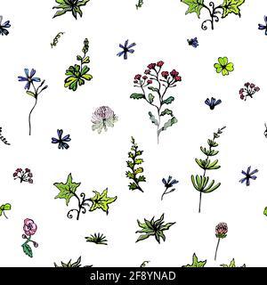 Fiori selvatici. Uno sfondo senza interruzioni. Illustrazione vettoriale Illustrazione Vettoriale