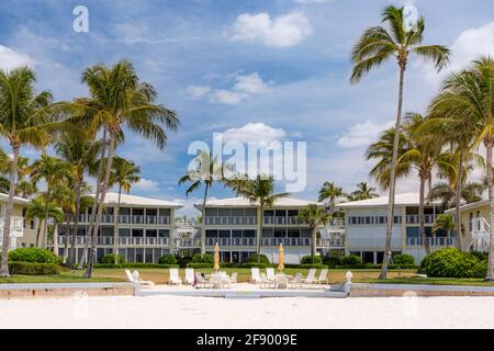 Condominiums fronte spiaggia, palme e lungo la spiaggia a Napoli, Florida, Stati Uniti Foto Stock