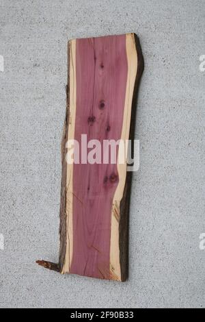 Una piccola lastra di legno di cedro rosso aromatico, taglio fresco Foto Stock