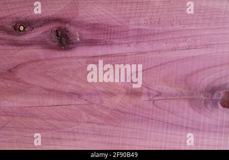 Un primo piano di legno di cedro rosso aromatico grano, taglio fresco Foto Stock