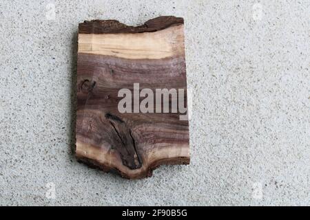 Una piccola fetta di legno di noce nero americano Foto Stock