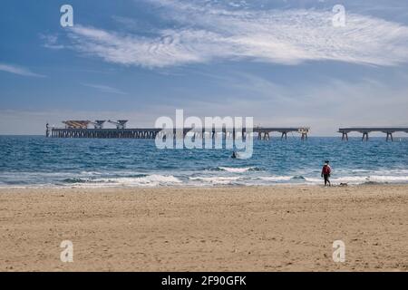 Donna che cammina con il cane lungo la costa sulla spiaggia di Sagunto con il molo di Port De Sagunt sullo sfondo, Valencia, Spagna Foto Stock