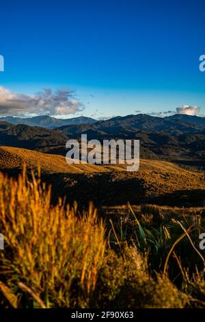 Tramonto sulle colline della Nuova zelanda Foto Stock