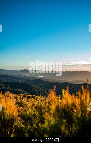 Tramonto sulle colline della Nuova zelanda Foto Stock