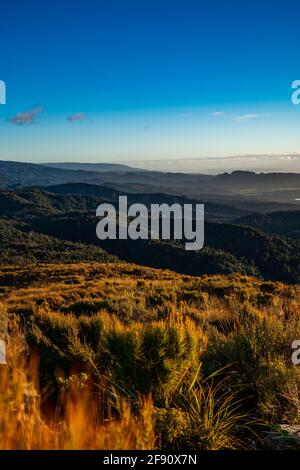 Tramonto sulle colline della Nuova zelanda Foto Stock