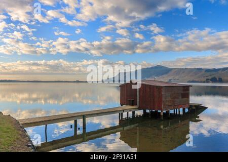 Boatshed a Hooper's Inlet, Otago Peninsular, Isola del Sud, Nuova Zelanda Foto Stock