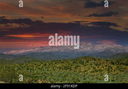 Paesaggio desertico dell'Arizona con montagne innevate nel cactus al tramonto Foto Stock