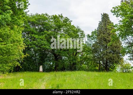 Primavera sulle colline e nei vigneti. Friuli Foto Stock