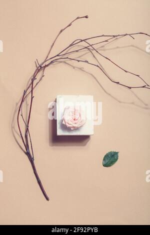 wabi sabi , concetto di design organico. Fiori in stile scandinavo e giapponese: Rosa su marmo, ramo di albero secco e foglia verde su sfondo beige Foto Stock