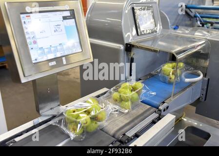 moderna macchina confezionatrice per pere fresche in una fabbrica per l'industria alimentare Foto Stock