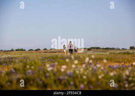 San Francisco, Stati Uniti. 15 Aprile 2021. I turisti potranno ammirare il paesaggio della riserva ecologica di North Table Mountain in California, Stati Uniti, il 15 aprile 2021. Credit: Dong Xudong/Xinhua/Alamy Live News Foto Stock