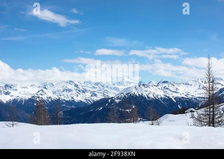 Paesaggio alpino con silhouette di abete. Paesaggio invernale, montagne innevate con paesaggi nuvolosi, cielo blu, giorno di sole. Vette innevate in Svizzera Foto Stock