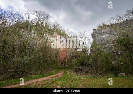 Split Rock Quarry su Milton Hill al limitare delle colline Mendip vicino a Wells, Somerset, Inghilterra. Foto Stock