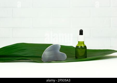 Un olio di cannabis verde CBD senza marchio con un raschietto massaggiatore gua sha giace su una foglia verde Foto Stock