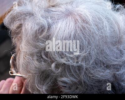 Donna anziana con capelli grigi Foto Stock