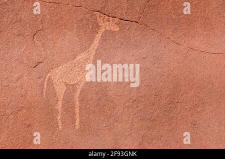 TWYFELFONTEIN, NAMIBIA - Apr 08, 2021: Pittura rupestre di una giraffa al twyfelfontein Namibia Foto Stock