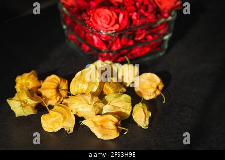 Frutto biologico di Physalis peruviana su fondo nero con petali di rosa secco. Bacca d'oro, uva spina. Copia spazio. Foto Stock