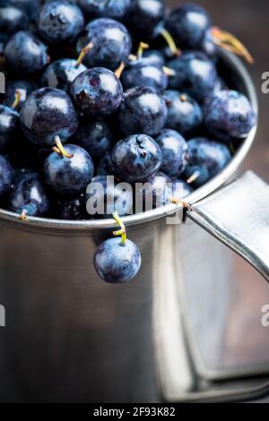 Mirtilli appena raccolti in una tazza di metallo. Messa a fuoco selettiva. Profondità di campo poco profonda. Foto Stock