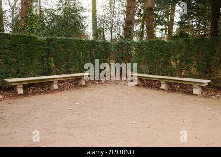 due vecchie panchine in pietra dal rococo nel parco di fronte ad una siepe verde Foto Stock