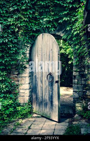 Antico cancello in legno aperto nella parete medievale del castello in pietra, coperto di edera Foto Stock