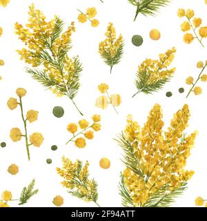 Motivo mimosa acquerello senza cuciture con foglie verdi e rami gialli su sfondo bianco. Illustrazione floreale disegnata a mano per tessuti, sfondi Foto Stock