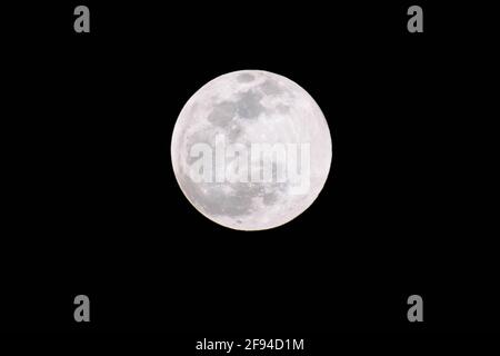 Orlando, Florida . Big Classic Luna in notte oscura Foto Stock