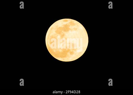 Orlando, Florida . Grande Luna gialla nella notte buia. Foto Stock