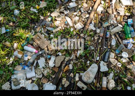 La superficie del fiume è inquinata da rifiuti e plastica miscelati con piante d'acqua tropicali locali in un estury nell'area urbana di Bangkok, Thailandia. Foto Stock