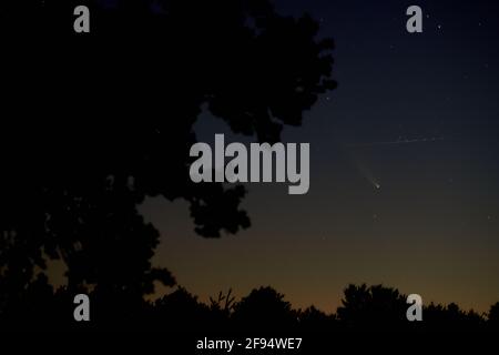 Cometa Neoswise visibile nel cielo notturno sul Regno Unito Nel luglio 2020 Foto Stock