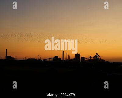 I resti scheletrici sagomati delle acciaierie di Redcar retroilluminati da un intenso tramonto con un cielo punteggiato da centinaia di stelle in muratura. Foto Stock