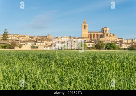 Vista generale della città maiorchina di Sineu all'alba in una soleggiata giornata di primavera Foto Stock