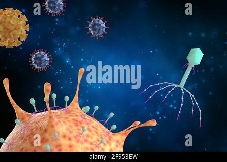 I virus batteriofagici attaccano batteri, malattie infettive, illustrazione 3d. Foto Stock