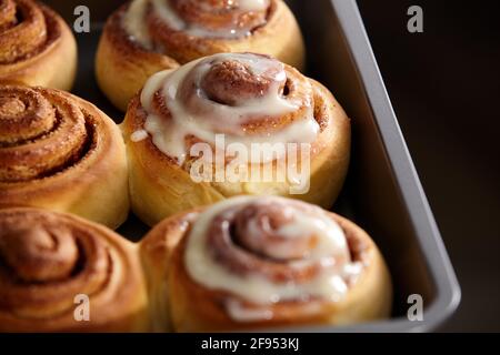 Forno fresco. I rotoli di cannella sono lubrificati. Primo piano cinnabon fatto in casa. Foto Stock